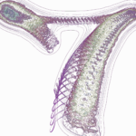 A Day in Asia 202206262222