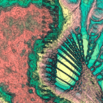 A Day in Asia 202206292118