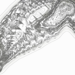 Just alive (with no particular aim) 20220526