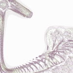 Just alive (with no particular aim) 20220602