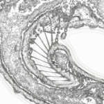 Just alive (with no particular aim) 20220613