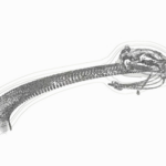 Just alive (with no particular aim) 20220616