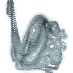 A Day in Asia 202207030308