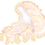 A Day in Asia 202207040659