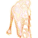 A Day in Asia 202207041136