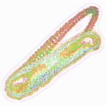 A Day in Asia 202207101533