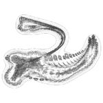 A Day in Asia 202207121657