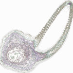 A Day in Asia 202207140026