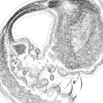 A Day in Asia 202207161912