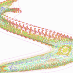 A Day in Asia 202207180908