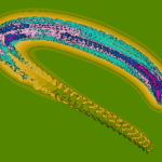 A Day in Asia 202207261512