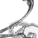 A Day in Asia 202207280258