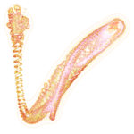 Just alive (with no particular aim) 20220702