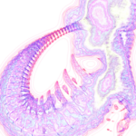 Just alive (with no particular aim) 20220703