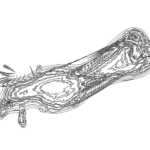 A Day in Asia 202208100614