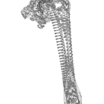 A Day in Asia 202208110956