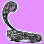 A Day in Asia 202208141544