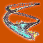 A Day in Asia 202208182138