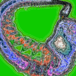 A Day in Asia 202208202316