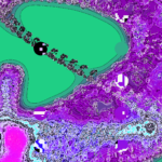 A Day in Asia 202209071534 Compound Microscope version