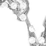 A Day in Asia 202209170158 Compound Microscope version