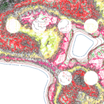 A Day in Asia 202209180136 Compound Microscope version