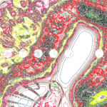 A Day in Asia 202209180627 Compound Microscope version