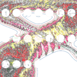 A Day in Asia 202209182253 Compound Microscope version
