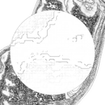 A Day in Asia 202209240059 Compound Microscope version