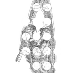 A Day in Asia 202209251742 Compound Microscope version