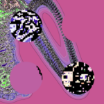 Just alive (with no particular aim) 20220902 Compound Microscope version