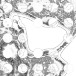 Just alive (with no particular aim) 20220910 Compound Microscope version