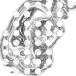 Just alive (with no particular aim) 20220915 Compound Microscope version