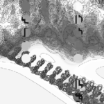 A Day in Asia 202210042338 Compound Microscope version