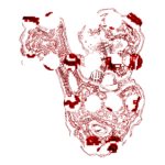 A Day in Asia 202210182142 Compound Microscope version