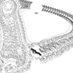A Day in Asia 202210220130 Compound Microscope version