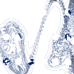 A Day in Asia 202210240656 Compound Microscope version