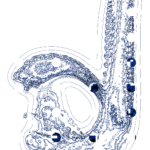 A Day in Asia 202210241543 Compound Microscope version