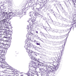 A Day in Asia 202210260353 Compound Microscope version