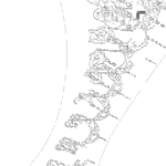 A Day in Asia 202210271018 Compound Microscope version