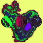 Just alive (with no particular aim) 20221012 Compound Microscope version