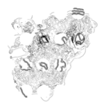 Just alive (with no particular aim) 20221014 Compound Microscope version