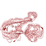 Just alive (with no particular aim) 20221016 Compound Microscope version