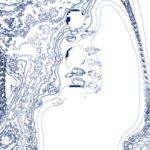 Just alive (with no particular aim) 20221022 Compound Microscope version
