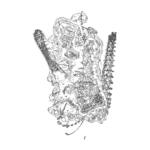 A Day in Asia 202211230013