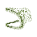 A Day in Asia 202211261230