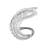 A Day in Asia 202211280532