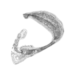 A Day in Asia 202212010234