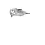 Just alive (with no particular aim) 20221215