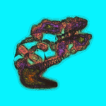 A Day in Asia 202212310047